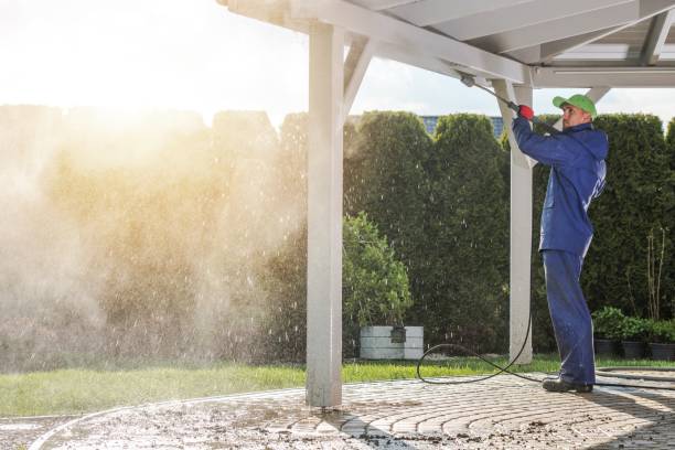 Best Patio and Deck Pressure Washing  in Pico Rivera, CA